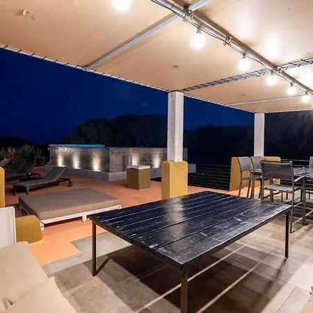 Sole Among The Junipers Willa Arzachena