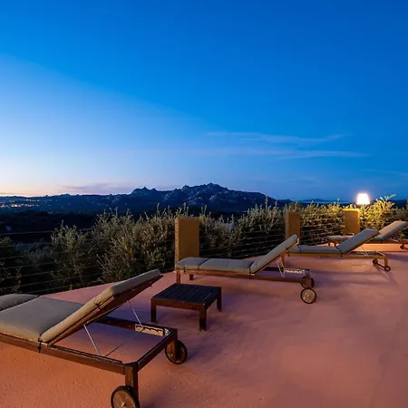 Sole Among The Junipers *