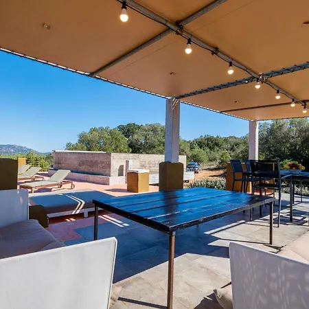 Sole Among The Junipers