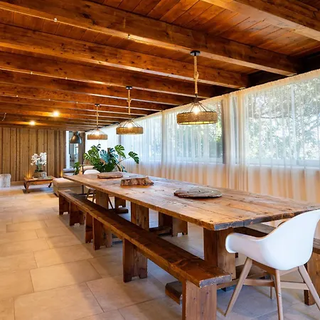 Willa Sole Among The Junipers