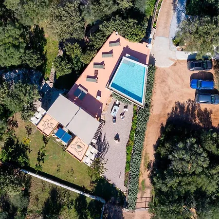 Sole Among The Junipers