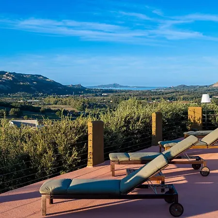 Sole Among The Junipers Arzachena