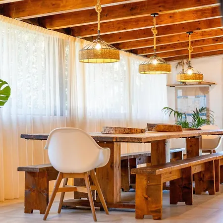 Sole Among The Junipers