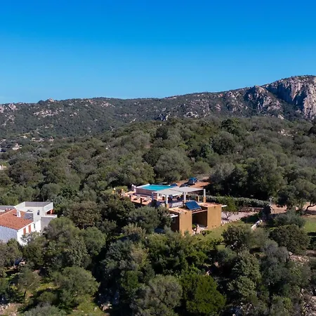 Sole Among The Junipers * Arzachena