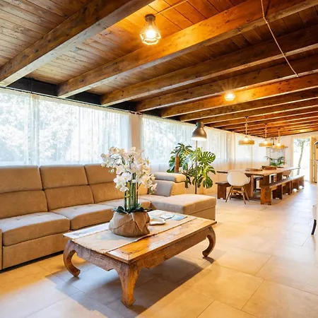 Sole Among The Junipers