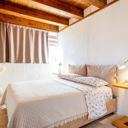 Sole Among The Junipers